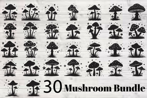 A Graphic Designer’s Review of Mushroom Bundle Graphics