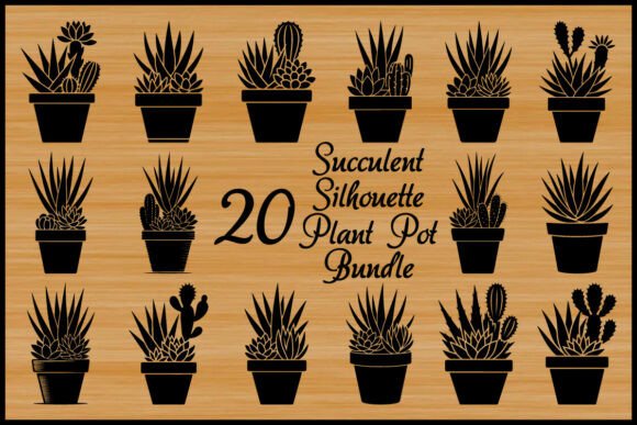 A Review of 20 Succulent Plant Pot Silhouettes for Graphics & Crafts